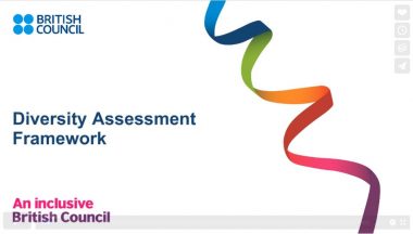 Screen title for Diversity Assessment Framework Video