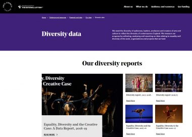 Screenshot of the Diversity Data page showing links to different diversity reports