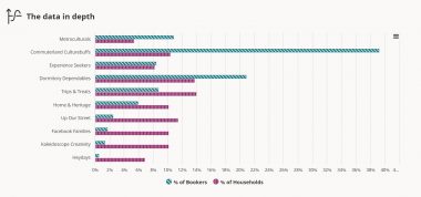 A graph that demonstrates the marketing segmentation and booker and audience percentages to illustrate what this tool looks like and the kinds of insights are in this report